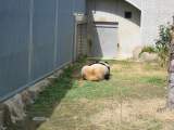 エサはまだか〜?